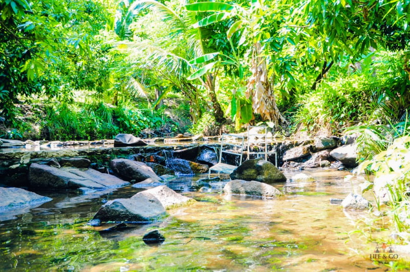 Suoi Vang flowing through the heart of the valley.
