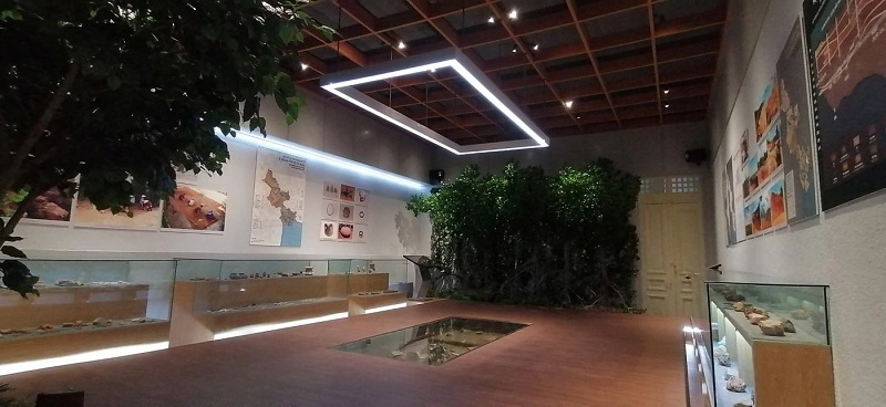 The Nature and Archaeology Gallery 