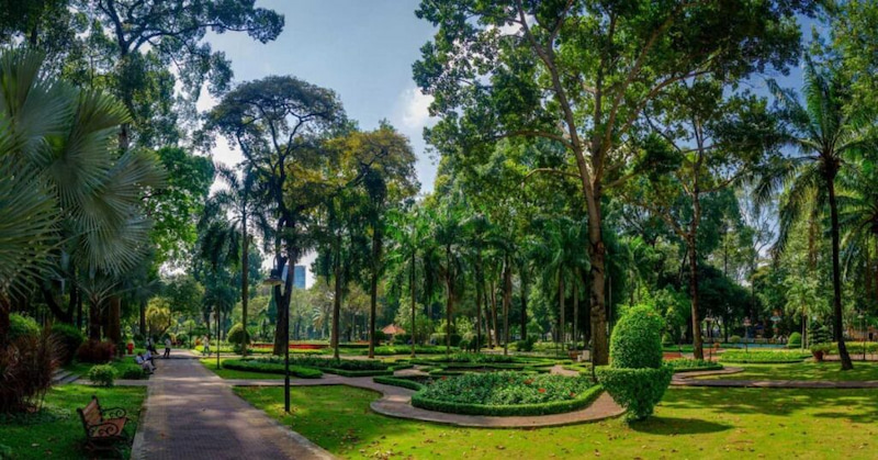 Lush green scenery that brings peace to your soul
