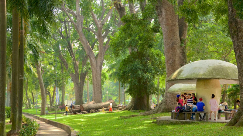 picnic in sở thú