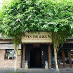 Explore the Museum of Traditional Medicine